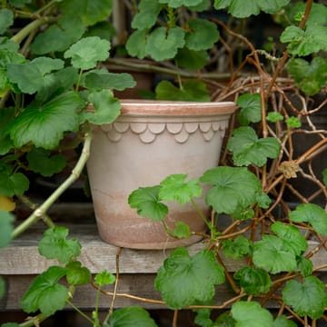 Köpenhamn kruka Ø16 cm - Rosa - Bergs Potter