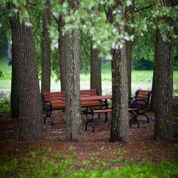 Byarum fåtölj - Mahogny, grönt stativ - Byarums bruk