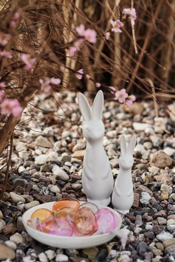 Swedish rabbit small - White - DBKD