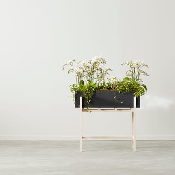 Botanic flower stand - Svart-ask - Design House Stockholm