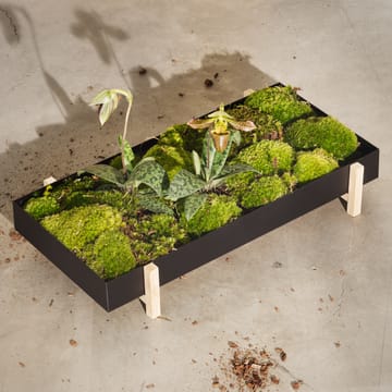 Botanic Flower Tray blomsterbricka - svart - Design House Stockholm