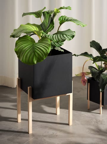 Botanic pedestal kruka - Svart-ask - Design House Stockholm