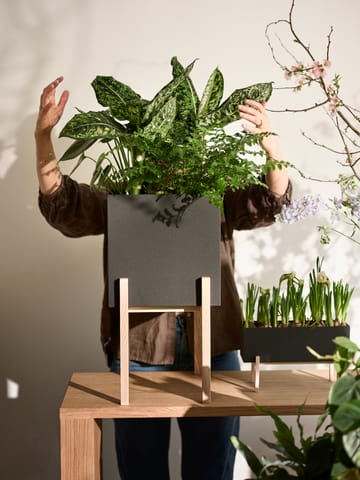 Botanic pedestal kruka - Svart-ask - Design House Stockholm