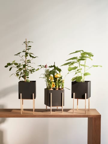 Botanic pedestal kruka - Svart-ask - Design House Stockholm