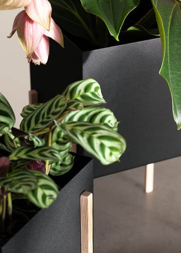 Botanic pot kruka - Svart-ask - Design House Stockholm