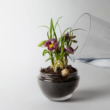 Grow odlingskupa - Medium Ø11 cm - Design House Stockholm