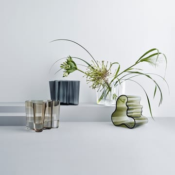 Alvar Aalto vas klar - 160 mm - Iittala