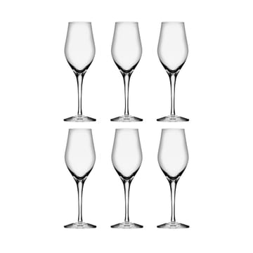 Sense champagneglas 25,5 cl 6-pack - Klar - Orrefors