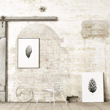 1:1 Pine Cone poster - vit, 50x70 cm - Paper Collective