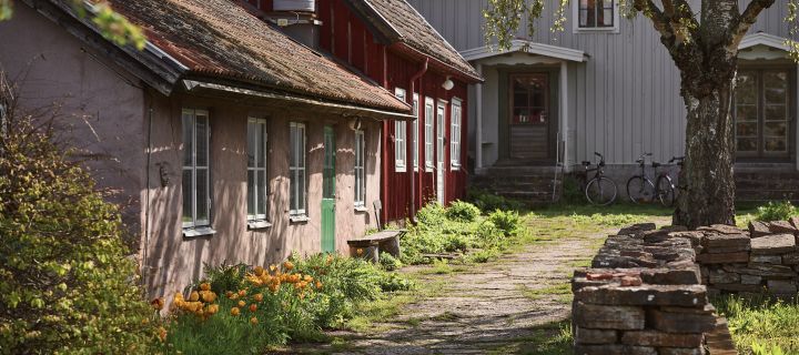 Bild som föreställer delar av Capellagården med verkstäder i olika byggnader, här rosa kalkstenshus bredvid falurött trähus.