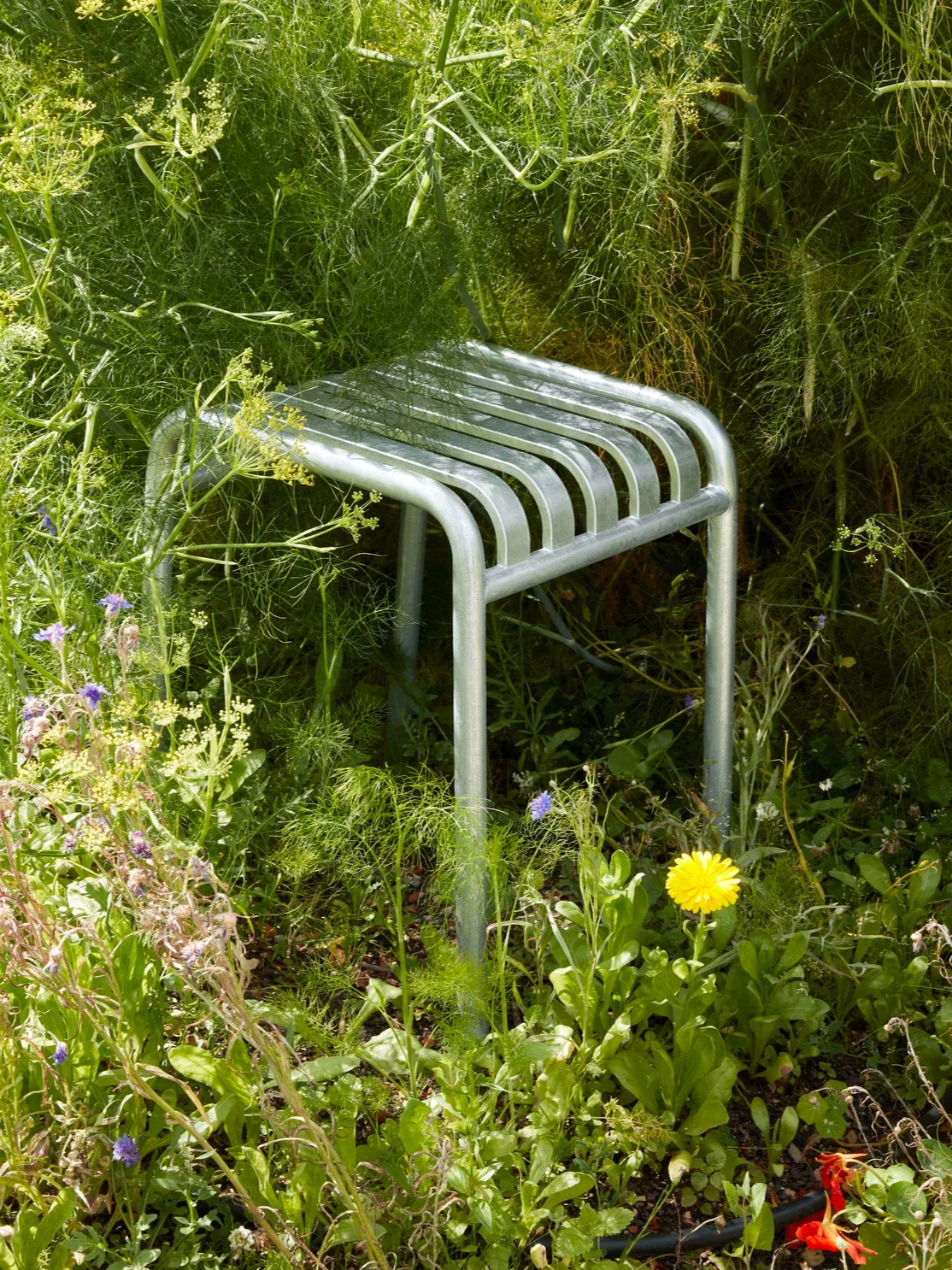 Silverfärgad pall i metall med ribbor, omgiven av gröna växter och färgglada blommor.