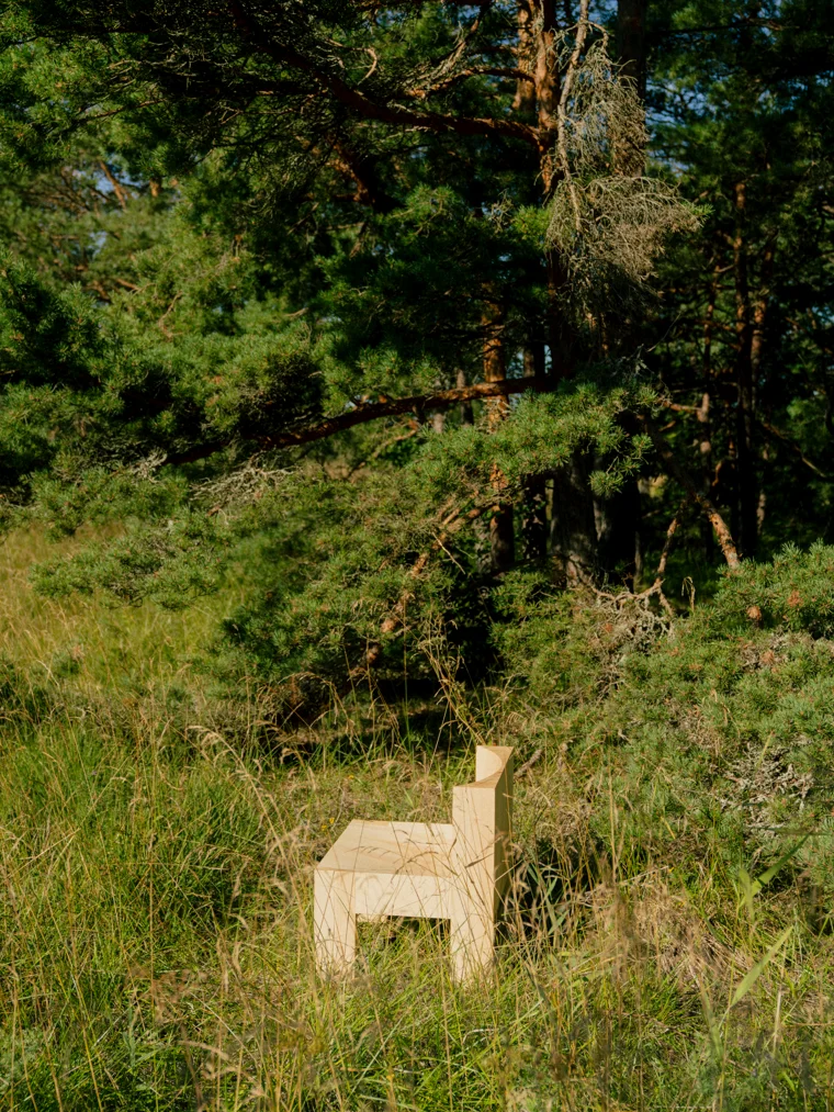 Ljus träbänk formad som ett stiliserat djur i högt gräs under tallar.